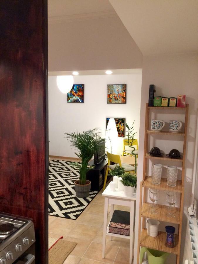 My Little Studio Bucarest Extérieur photo